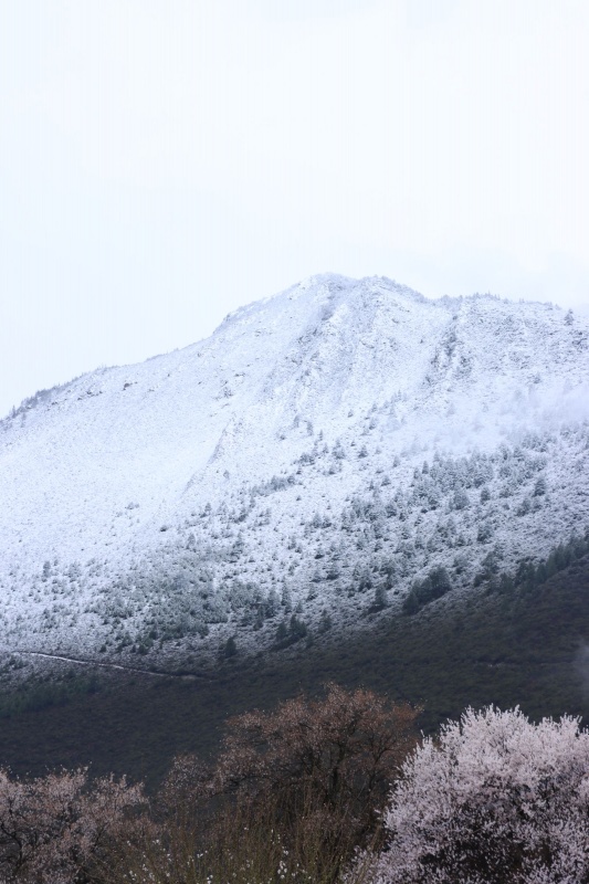 雪山